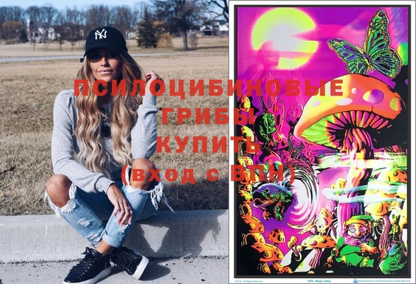 ГАЛЛЮЦИНОГЕННЫЕ ГРИБЫ Одинцово