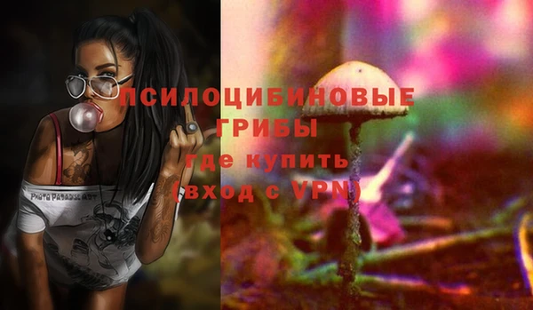ГАЛЛЮЦИНОГЕННЫЕ ГРИБЫ Одинцово