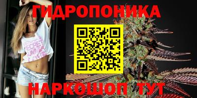 МДПВ Гусь-Хрустальный