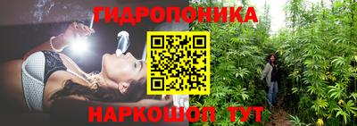 индика Гусиноозёрск